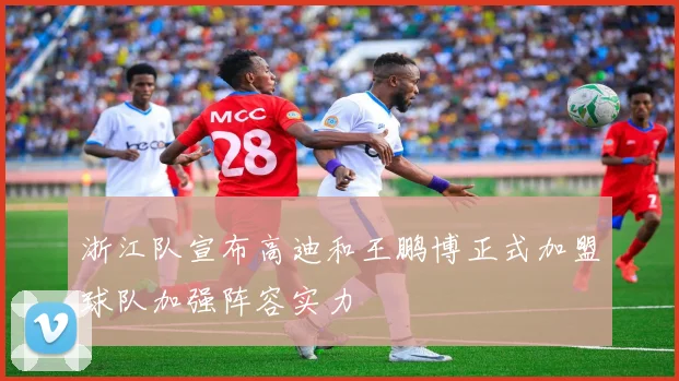 浙江队宣布高迪和王鹏博正式加盟球队加强阵容实力